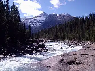 Mount Sarbach vom Mistaya Canyon aus gesehen