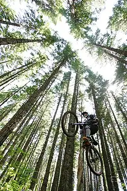 Die touristische Nutzung ist im Mt. Hood National Forest besonders intensiv.