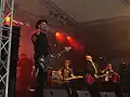 Mr. Irish Bastard