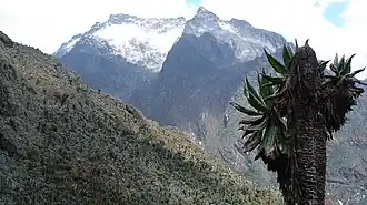 Mount Speke vom Aufstieg zum Scott-Elliot-Pass aus gesehen.