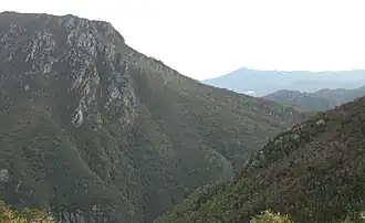 Der felsige Gipfelaufbau des Mount Huxley über der Schlucht des King River