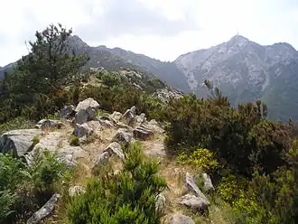Aufstieg zum Monte Capanne