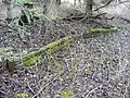 Überreste der Haltestelle Eiben im Wald