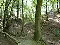 Der Halsgraben vor dem Turmhügel (rechts)