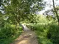 Brücke über eine Feuchtwiese