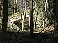 Zingel, Flankierbunker