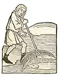 Buch IV, Kapitel 56. ..... Mugil – Meeräsche