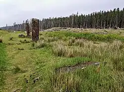 Die Steinreihe