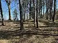Plateau, nach Norden