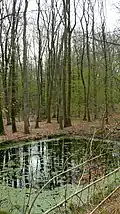 Einer der vielen Löschwasserteiche im Gelände