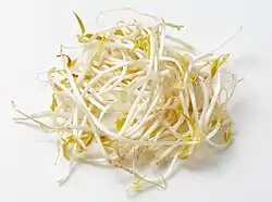 Mungbohnensprossen