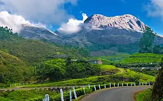 Landschaft bei Munnar, Kerala
