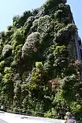 Aufwändig begrünte Mauer