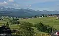 Almwirtschaft