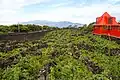 Weinmuseum