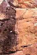 Petroglyphe eines Brolgakranichs