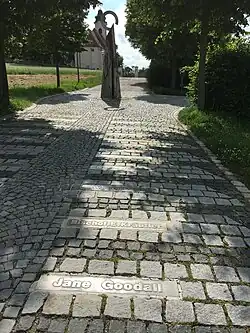 Jane Goodalls Name auf dem Myway in Hagenbrunn, wo sie 2015 den My-way-Preis bekam