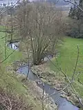 Tal der Nördlichen Regnitz zwischen Feilitzsch und Unterkotzau