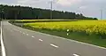 Die N20 bei Allerborn in Richtung Wintger-Féitsch