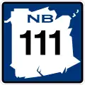 R111