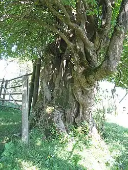 Bei Türnitz