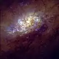 Das Zentrum aufgenommen vom Hubble-Weltraumteleskop