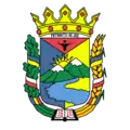 Wappen von Nyschni Petriwzi
