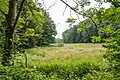 Naturschutzgebiet Asbeke-Kinzbachtal bei Herringhausen-West