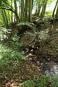 Der Albersbach beim Parkplatz Taschengrube östlich des Ortes Albersbach.