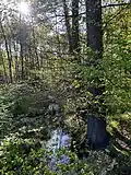 Im Schwarzebruch (nördl. Bereich)