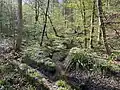 Schwarzbroicher Bach
