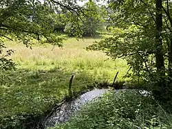 Breibach im NSG