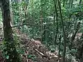 Blick in die Schlucht des südlichen Baches