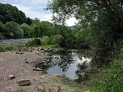 Stillgewässer