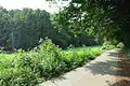 Straße Asbachtal durch das Schutzgebiet
