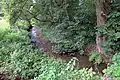Der Asbach