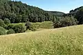 Blick von Nordwesten auf das Wiesental (2024)