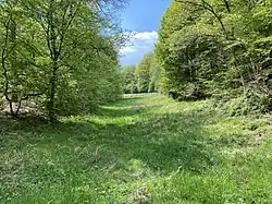NSG Haller Bachtal