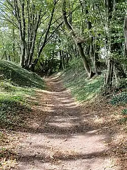 Hohlweg im NSG