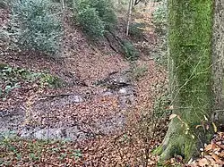 Herkensiepen