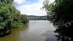 Mündung der Ahr