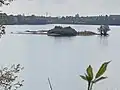 Auf der östlichen Seite (im Bild links) der Insel: viele Wasservögel, insbes. Kormorane