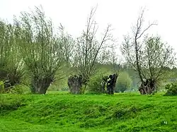 Quellgebiet der Gieseler