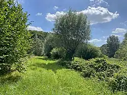 Landschaftsmosaik im unteren Koppelsbachtal