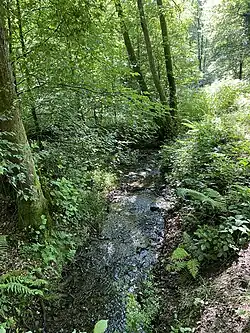 Westerbach