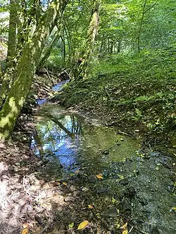 Westerbach