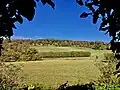 NSG Westerholt/Quellgebiet des Diepmannsbaches