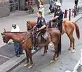 NYPD-Beamte zu Pferd (Foto 2007)