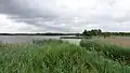 Naardermeer