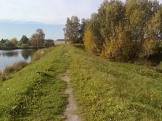 Teichdamm